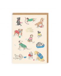 Happy Birthday Top Dog Greeting Card (A6)